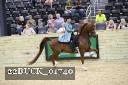 22BUCK_01740 proof