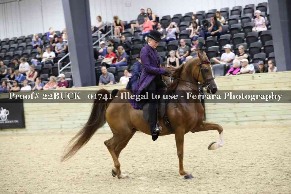 Proof 22BUCK_01741