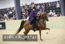22BUCK_01741 proof