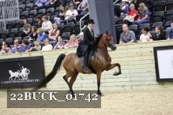 22BUCK_01742 proof