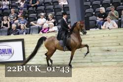 22BUCK_01743 proof