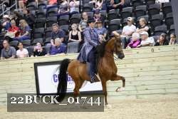 22BUCK_01744 proof