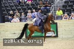 22BUCK_01745 proof