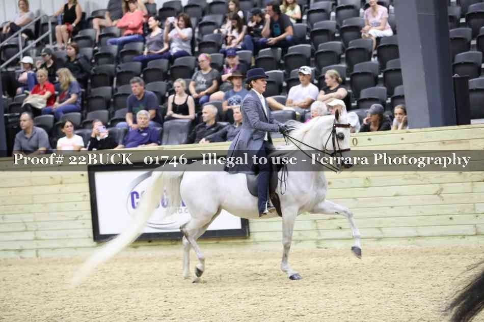 Proof 22BUCK_01746