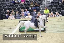 22BUCK_01747 proof