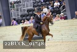 22BUCK_01748 proof
