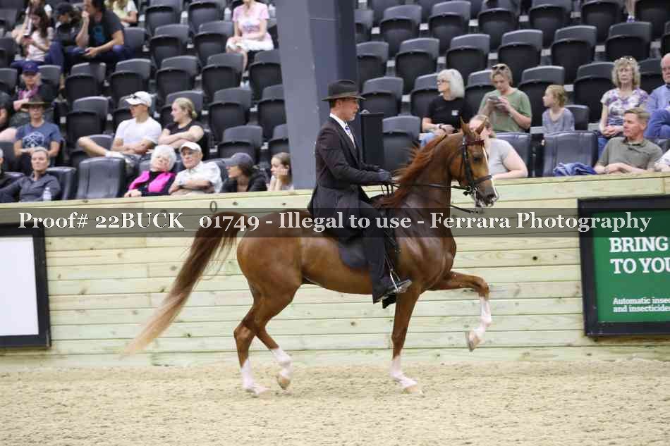 Proof 22BUCK_01749