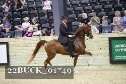 22BUCK_01749 proof