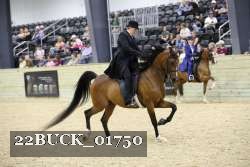 22BUCK_01750 proof