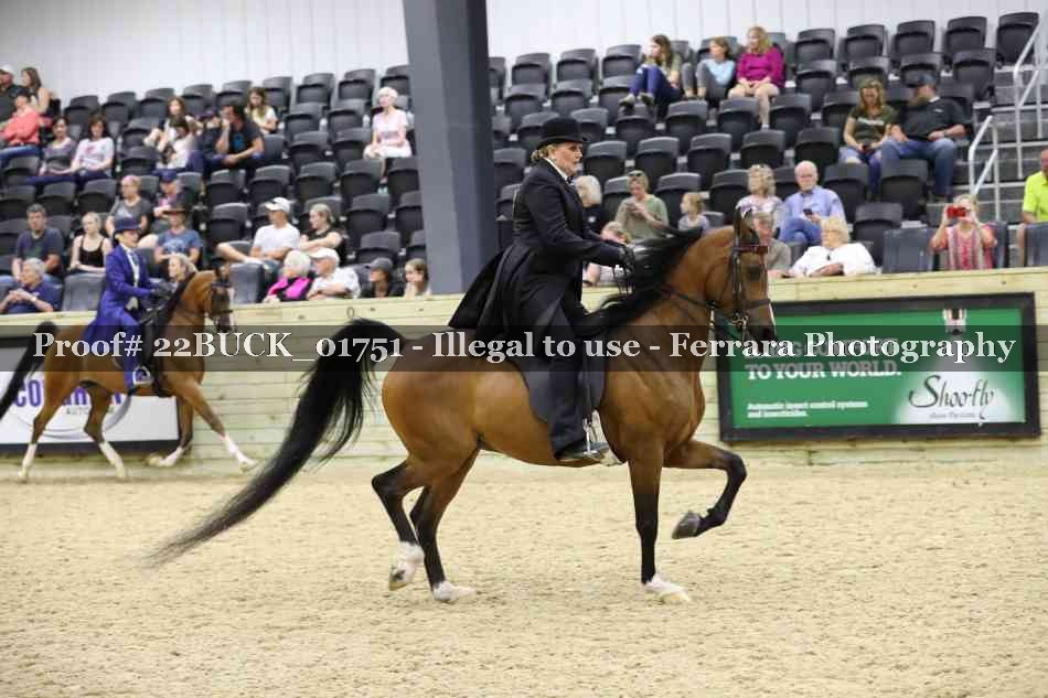 Proof 22BUCK_01751