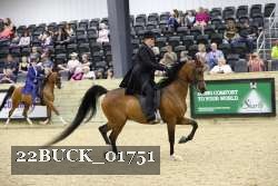 22BUCK_01751 proof