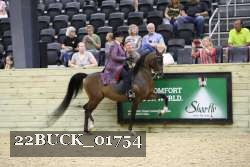 22BUCK_01754 proof