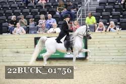 22BUCK_01756 proof