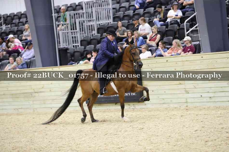 Proof 22BUCK_01757