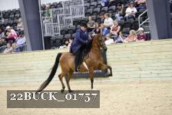 22BUCK_01757 proof