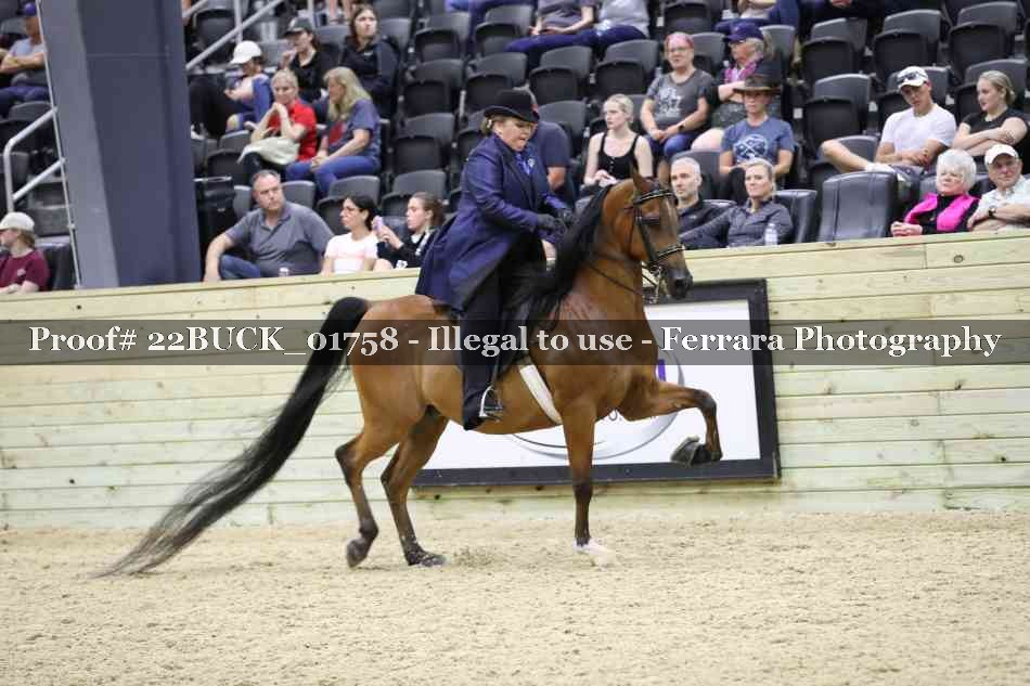 Proof 22BUCK_01758