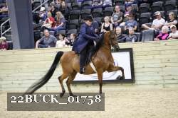 22BUCK_01758 proof