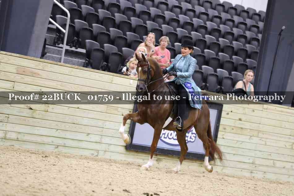 Proof 22BUCK_01759