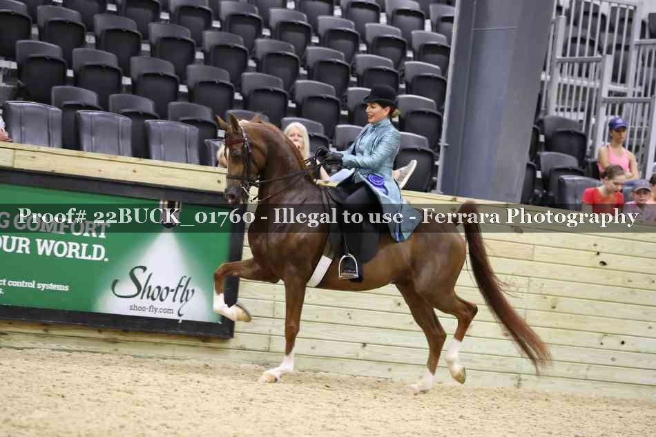 Proof 22BUCK_01760