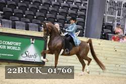22BUCK_01760 proof