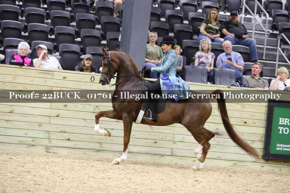Proof 22BUCK_01761