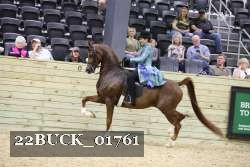 22BUCK_01761 proof