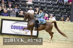22BUCK_01762 proof