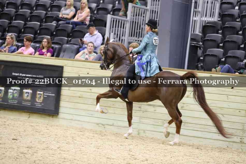 Proof 22BUCK_01764