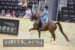 22BUCK_01764 proof