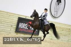 22BUCK_01765 proof