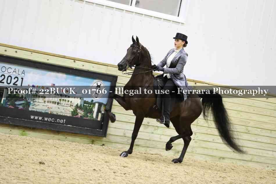 Proof 22BUCK_01766