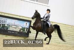 22BUCK_01766 proof