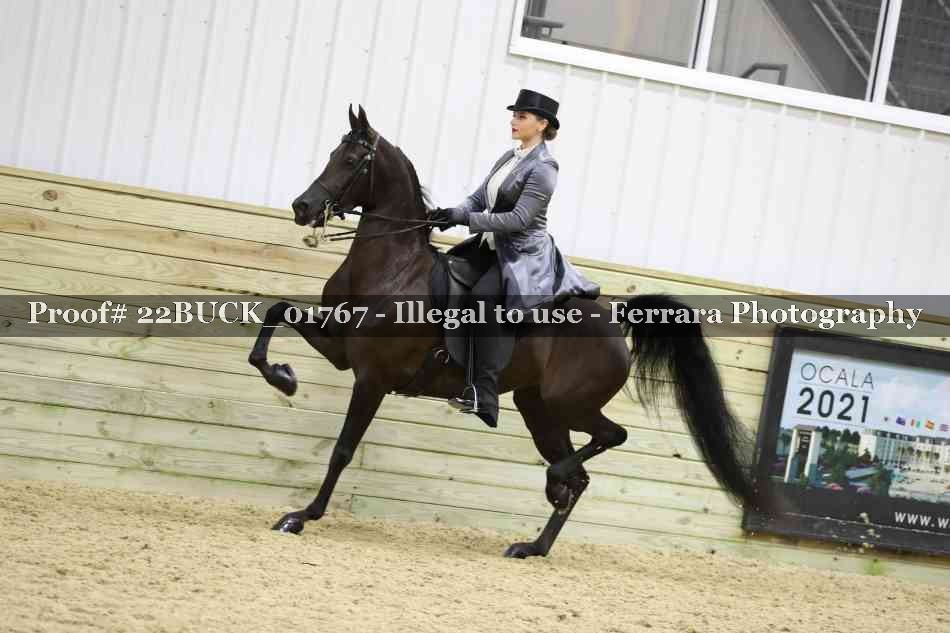 Proof 22BUCK_01767