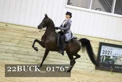 22BUCK_01767 proof