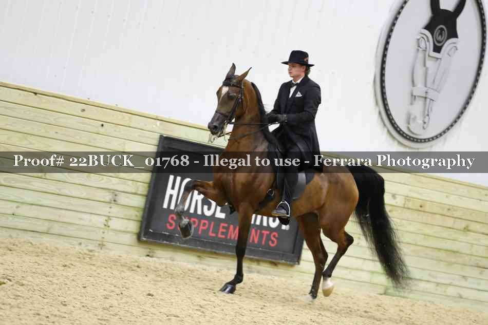 Proof 22BUCK_01768