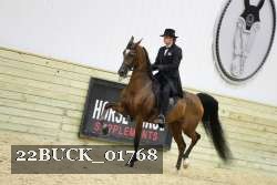 22BUCK_01768 proof
