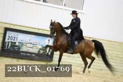 22BUCK_01769 proof