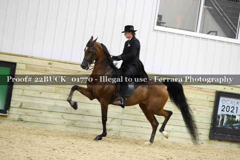 Proof 22BUCK_01770