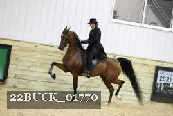 22BUCK_01770 proof