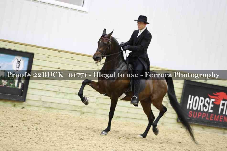 Proof 22BUCK_01771