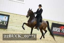 22BUCK_01771 proof