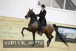22BUCK_01772 proof