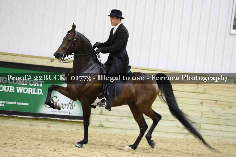 Proof 22BUCK_01773