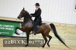 22BUCK_01773 proof