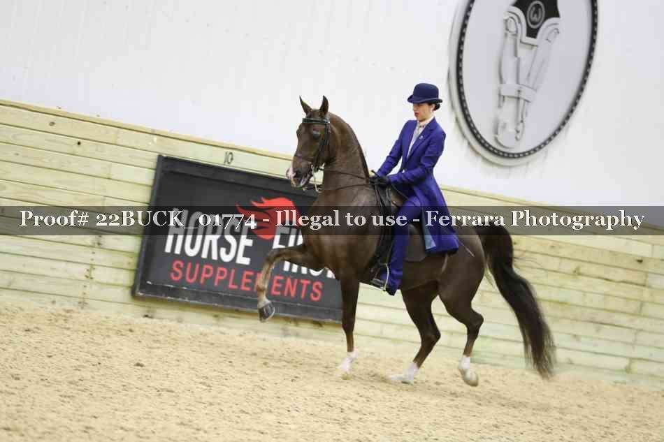 Proof 22BUCK_01774