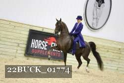 22BUCK_01774 proof