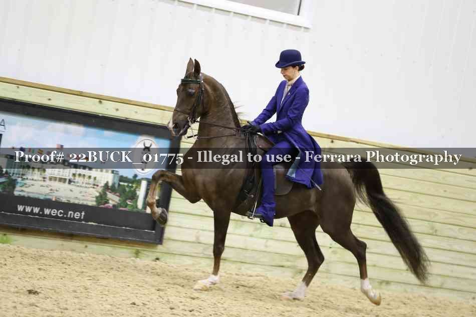 Proof 22BUCK_01775