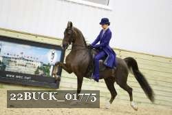 22BUCK_01775 proof
