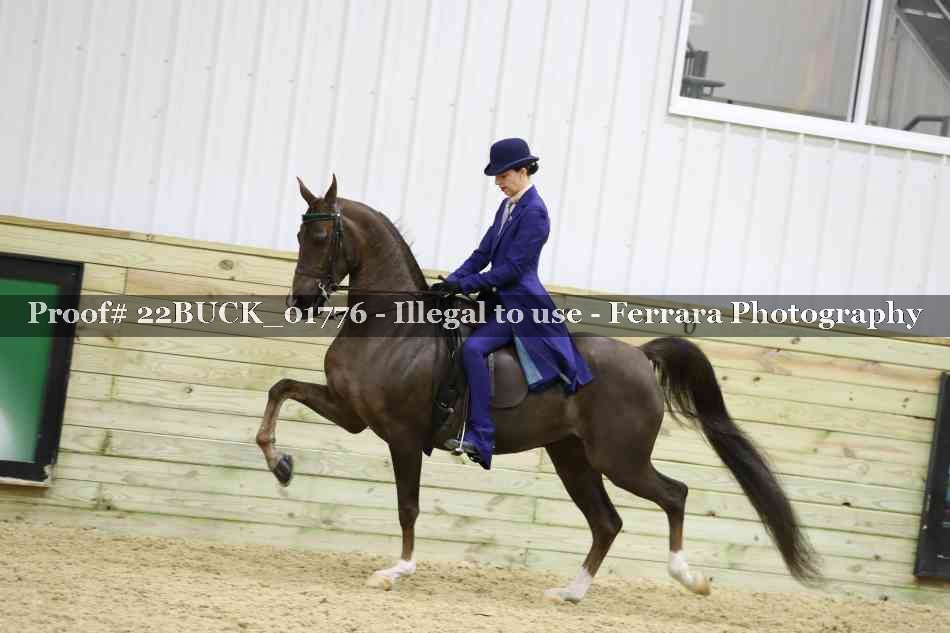 Proof 22BUCK_01776