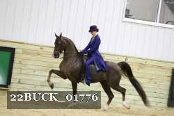 22BUCK_01776 proof